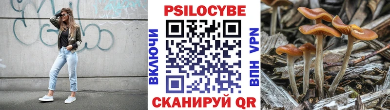 Купить закладки  Новая Ладога  Галлюциногенные грибы мухоморы 